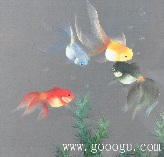 金魚(yú)自由自在的游動(dòng)、展現(xiàn)出形態(tài)優(yōu)美的舞姿!